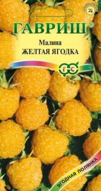 Малина Желтая ягодка /Гавриш/ 10 шт