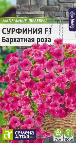 Сурфиния Бархатная роза /Сем.Алтая/ 5 шт
